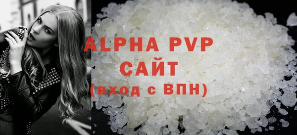молекула духа Арсеньев