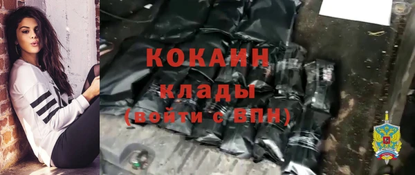 молекула духа Арсеньев